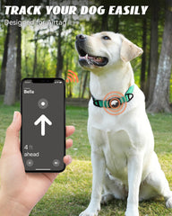 Collar Joytale con tiras reflectantes para visibilidad nocturna.