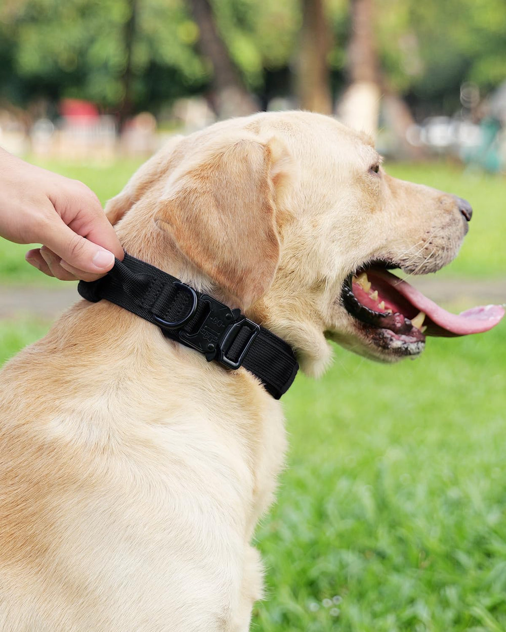 Joytale collar táctico diseño-resistente, ideal para entrenamiento y patrullas.