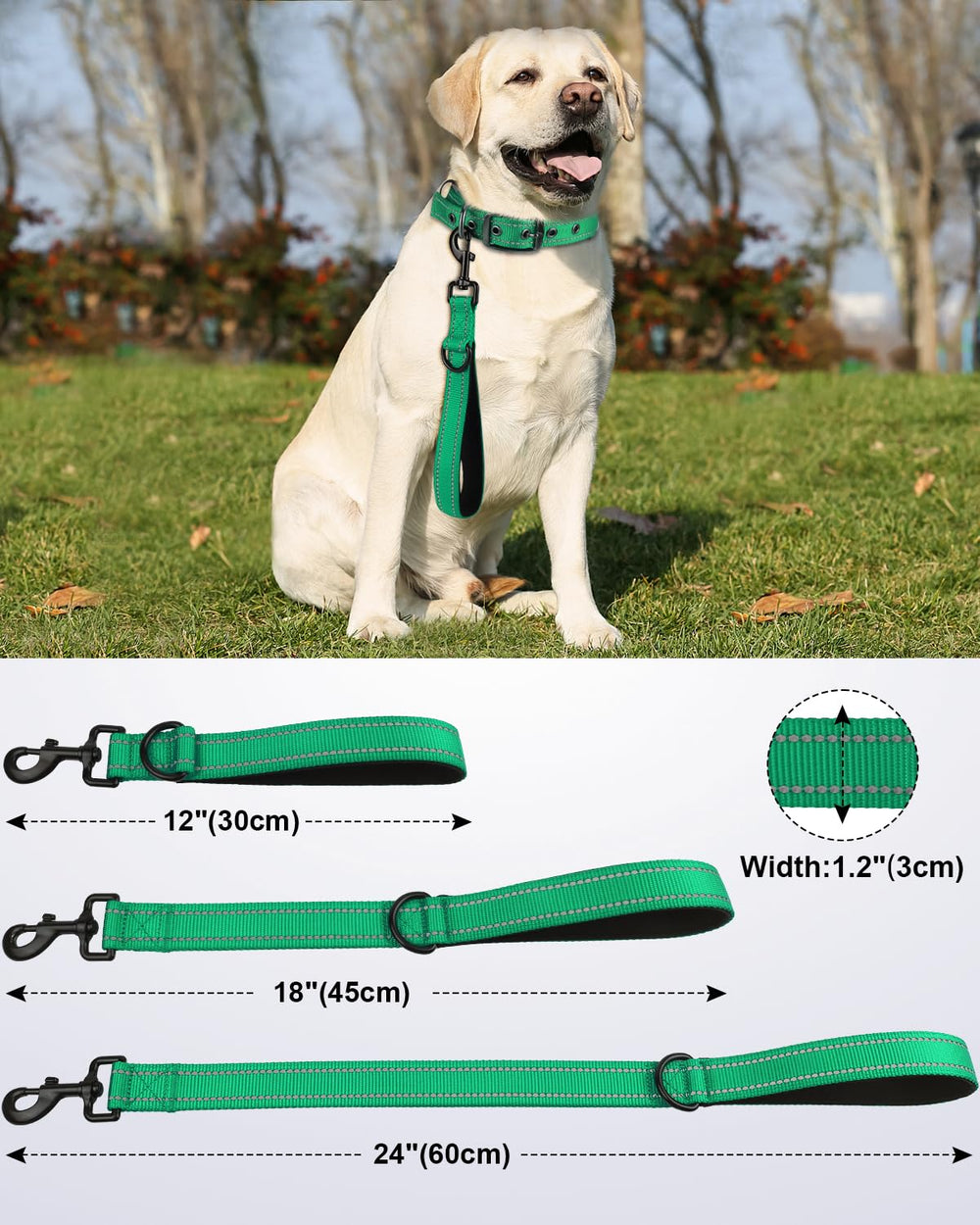 Joytale control de tráfico en calles congestionadas para guiar a tu perro con seguridad.
