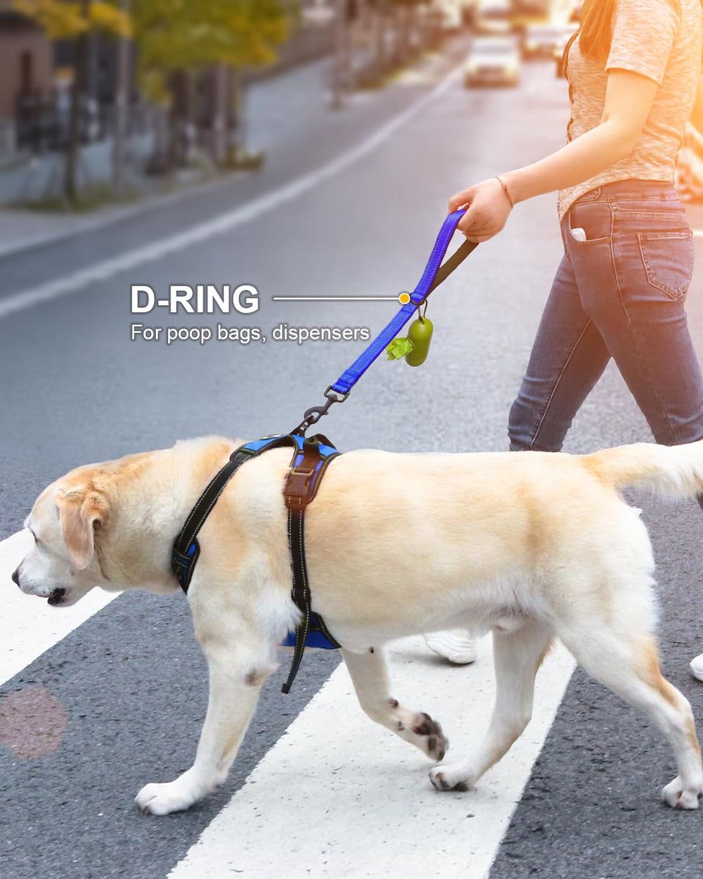 Joytale correa duradera de nylon para perros activos.