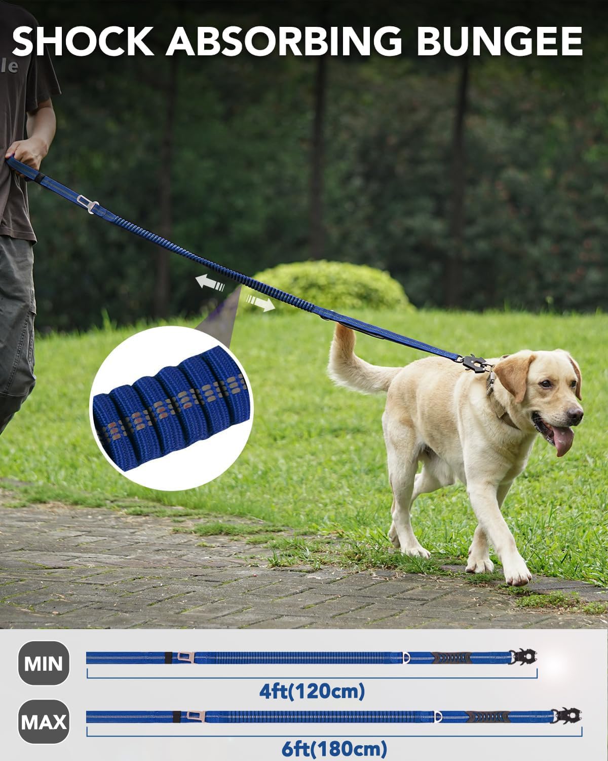 Joytale correa con amortiguador bungee, reduce tirones en caminatas.