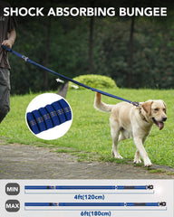 Joytale correa con amortiguador bungee, reduce tirones en caminatas.