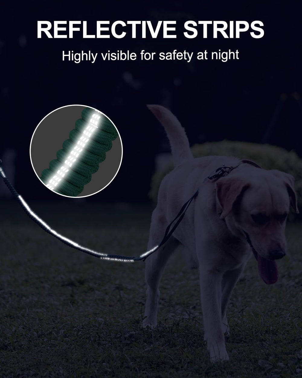 Joytale correa táctica con nylon duradero para perros grandes.