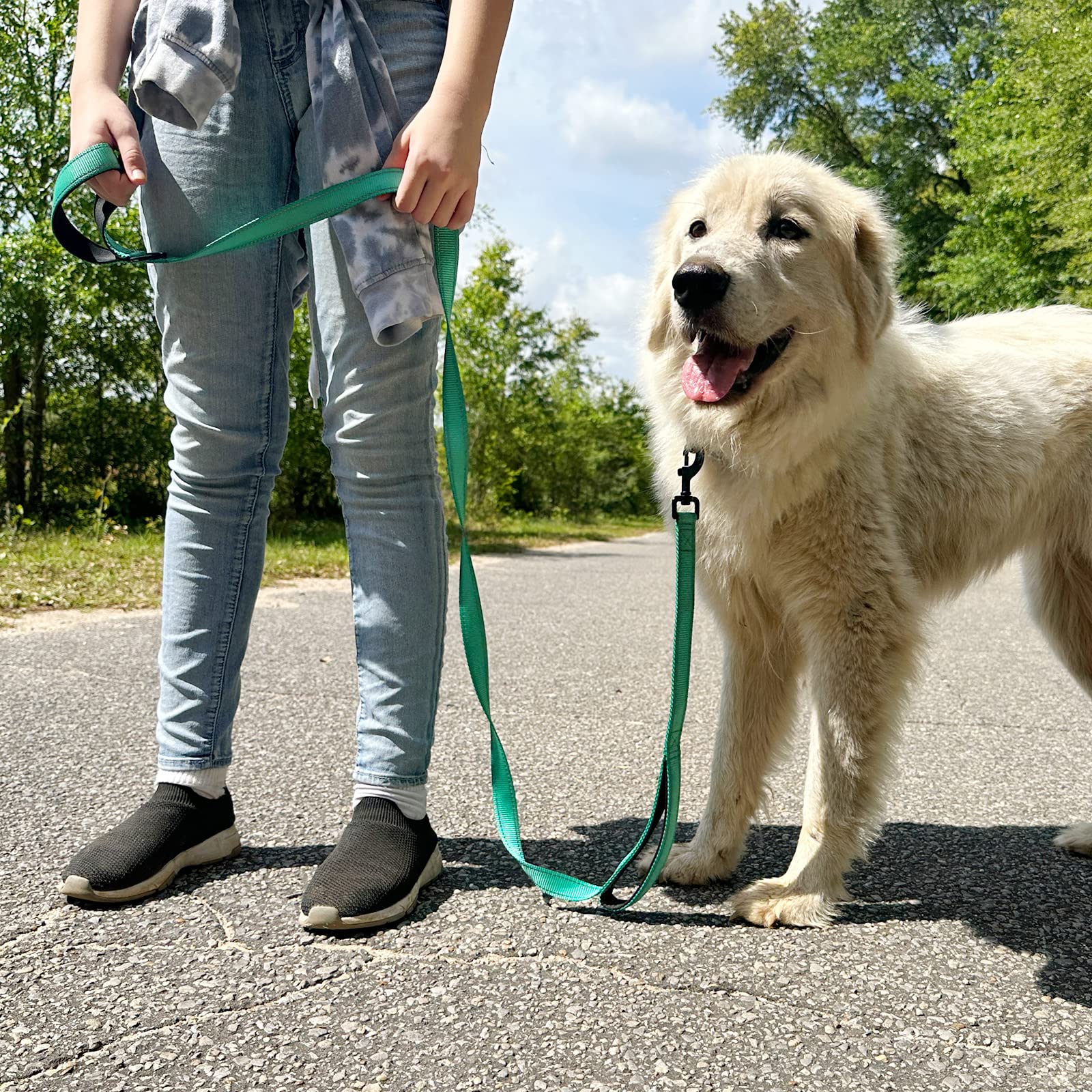 Joytale opciones de longitud y color para adaptar paseos.