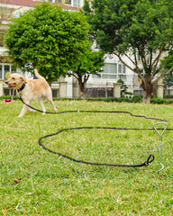 Joytale cuerda larga para perros de 30 ft, libertad controlada en paseos.