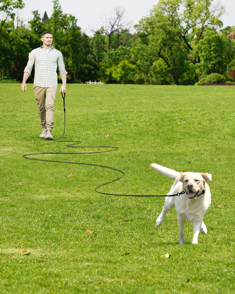 Joytale cuerda larga para perros de 65 ft, entrenamiento y juego al aire libre.