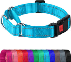 Joytale martingala: collar reflectante azul cielo para paseos nocturnos seguros.