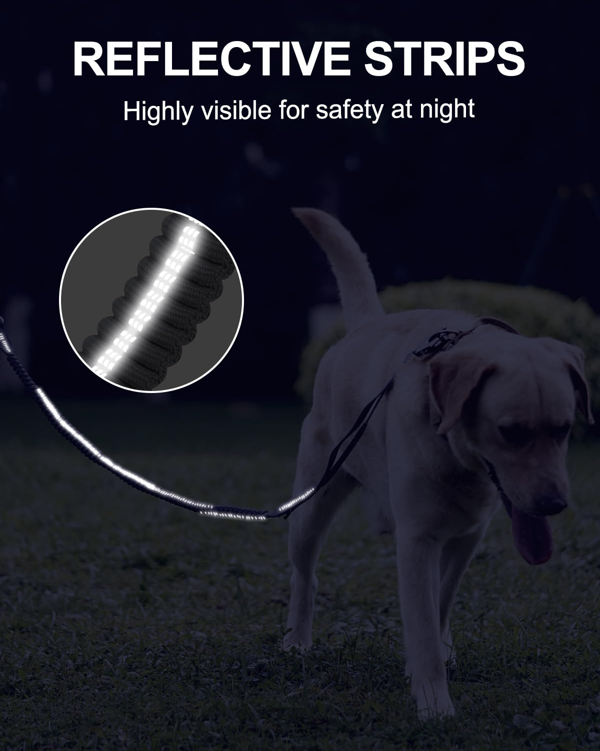 Joytale nylon duradero resiste desgaste en perros grandes.