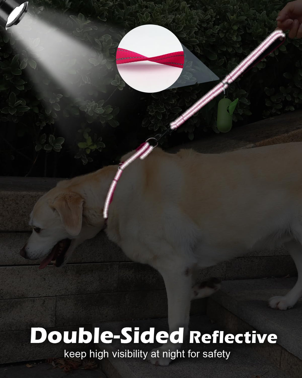Nylon resistente de Joytale para perros activos y entrenamientos diarios.