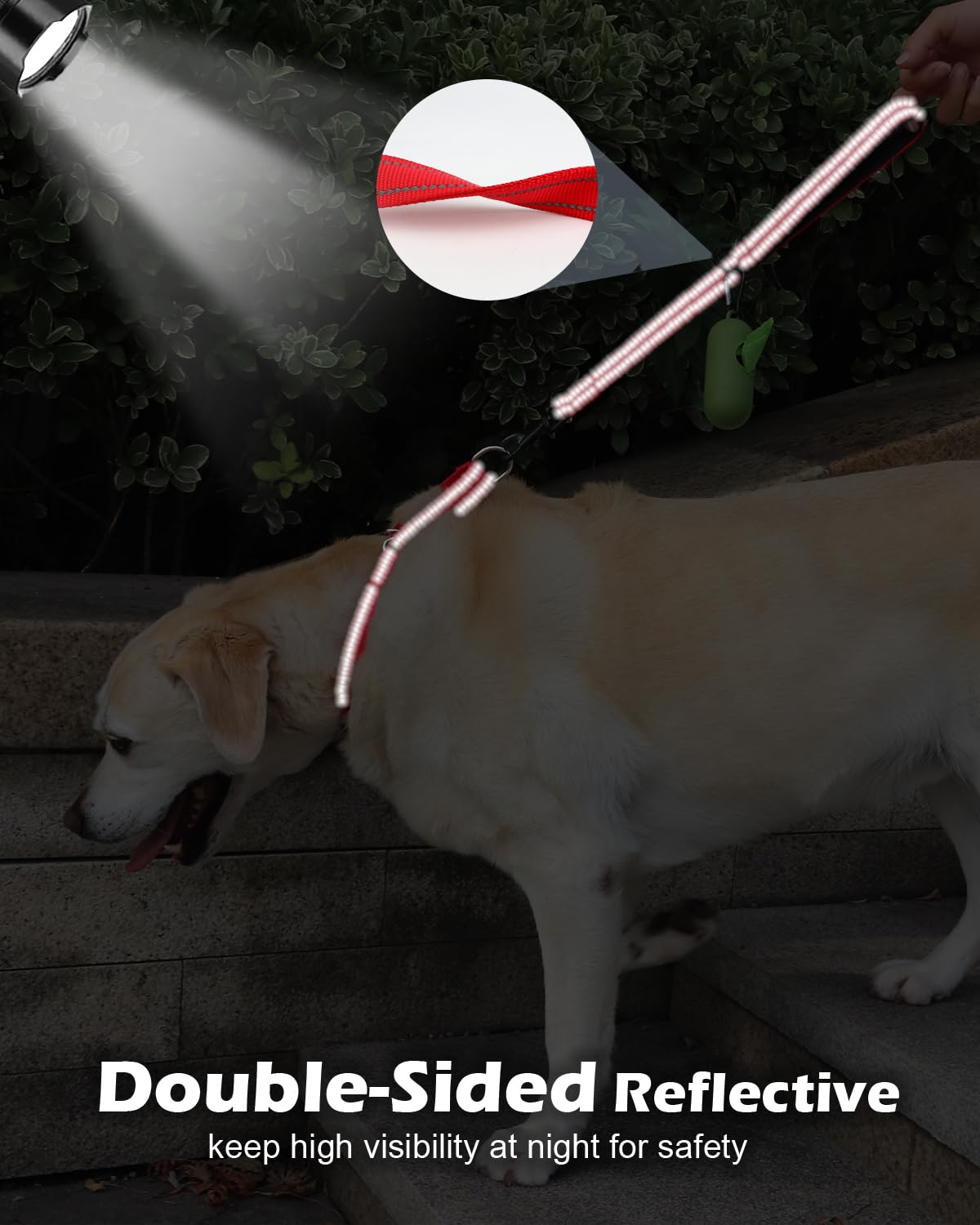 Joytale nylon resistente: duradera para perros grandes y activos.