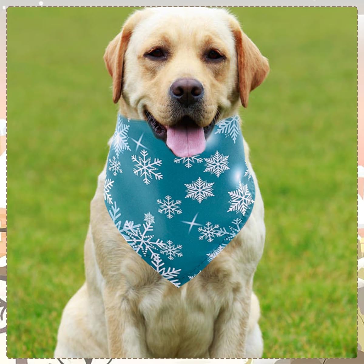 Bandanas JpGdn para sesiones de fotos y eventos especiales.