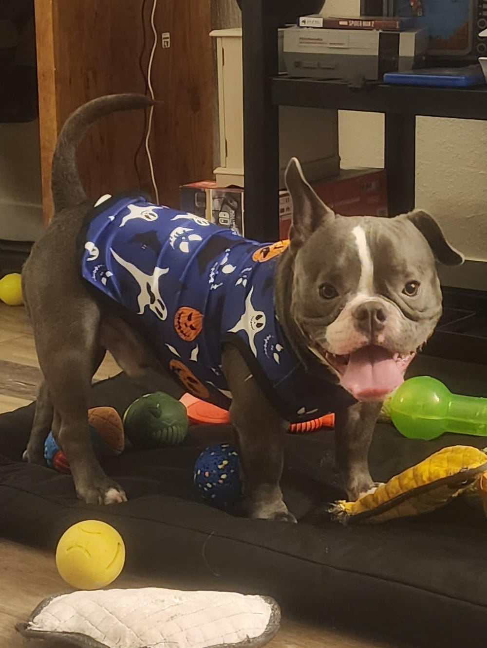 Camiseta JpGdn para perro con araña azul, suave y ventilada para uso diario