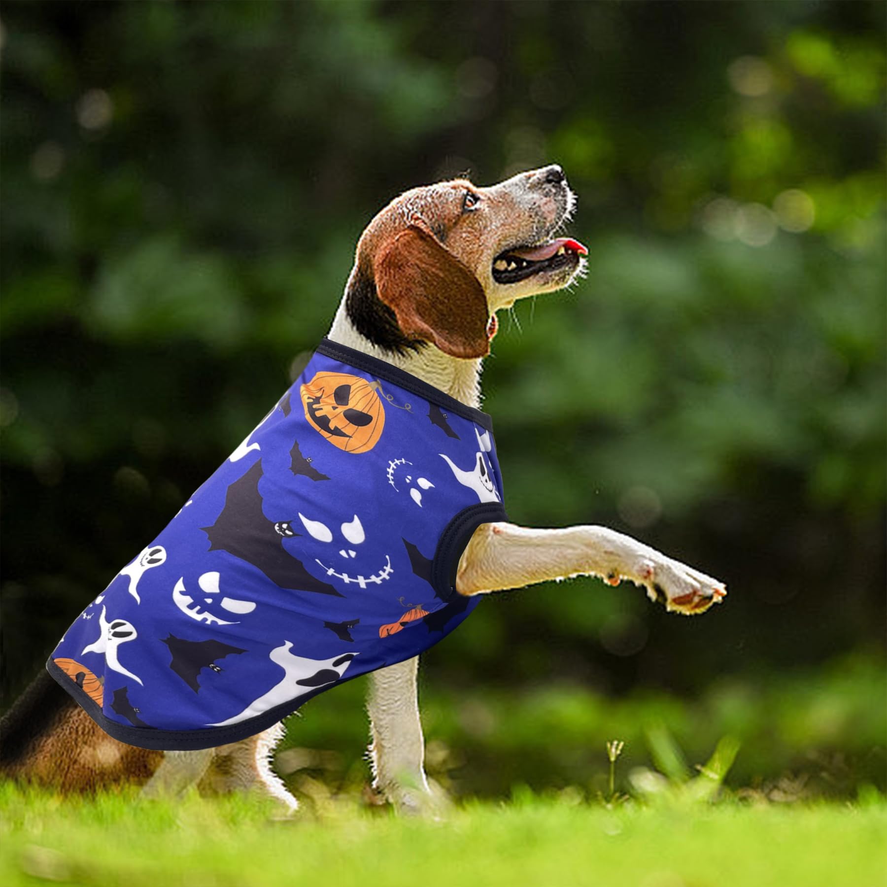 Camiseta JpGdn para perro con lechuza azul, color atractivo para sesiones de fotos