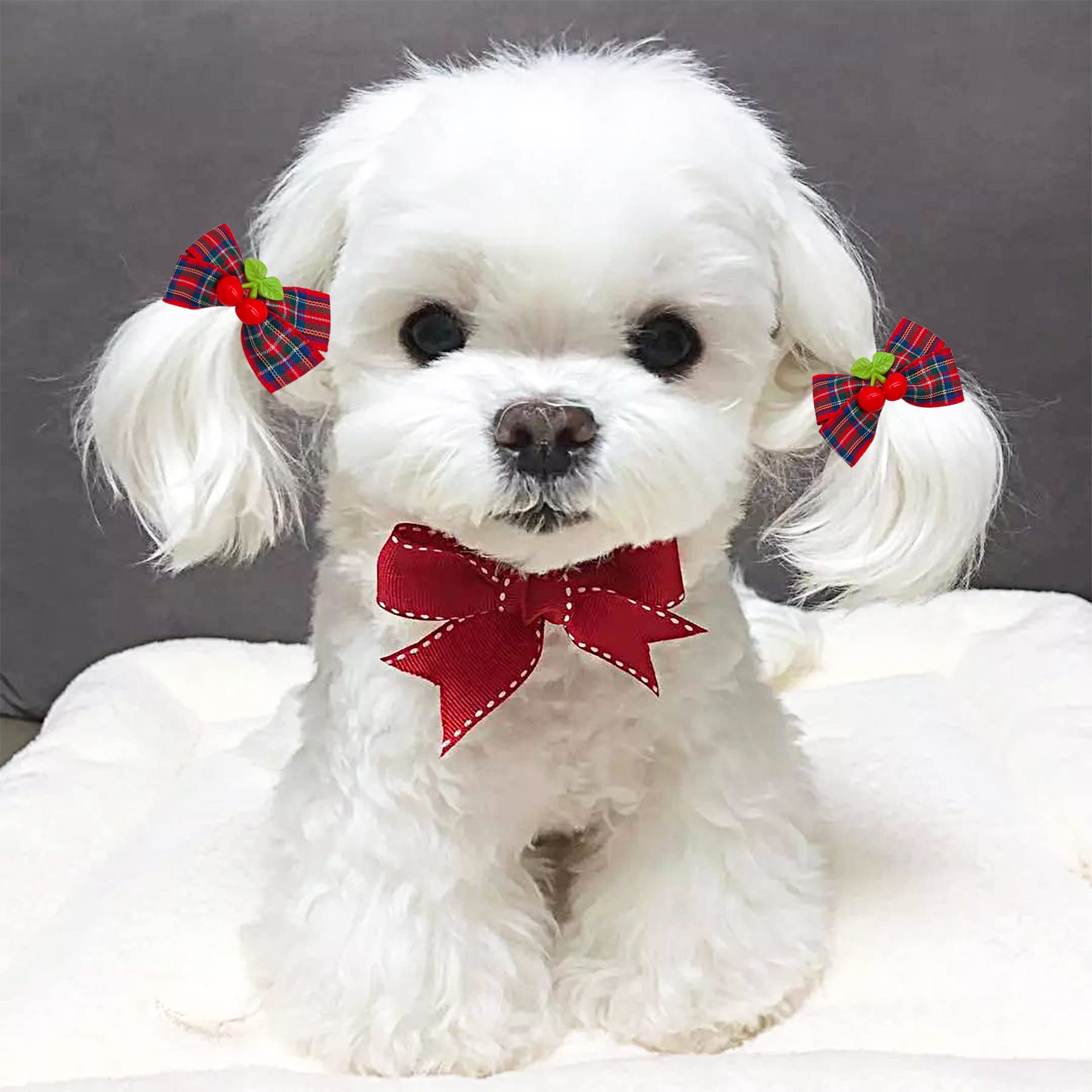 Lazo JpGdn con variedad de estilos para vestir a tu mascota cada día