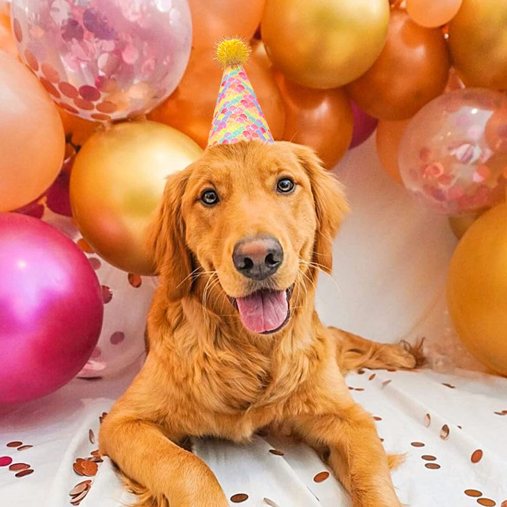 JpGdn sombrero de mascota para sesiones de fotos y fiestas.