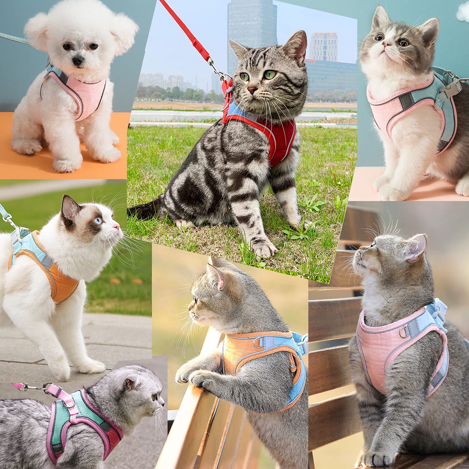 Arnés JSXD de paso fácil para gatos, ideal para sesiones de paseo.