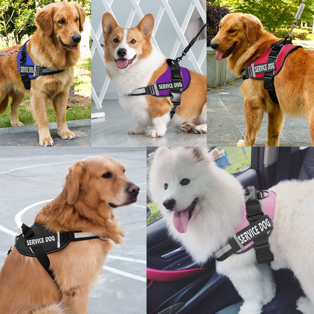 JSXD arnés perro talla XS-XXL para diferentes razas.