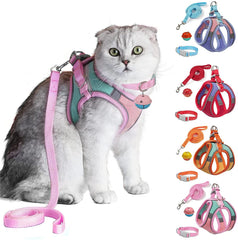 Arnés JSXD con conjunto de correa y collar para paseos seguros.