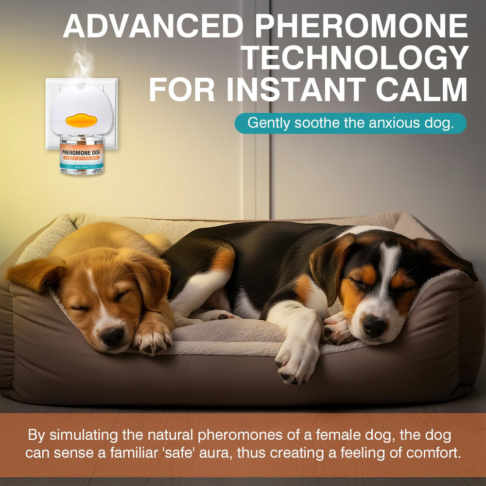 Difusor de feromonas para perros crea un ambiente más tranquilo.
