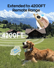  Jugbow collar con estímulo estático seguro para entrenamiento controlado.