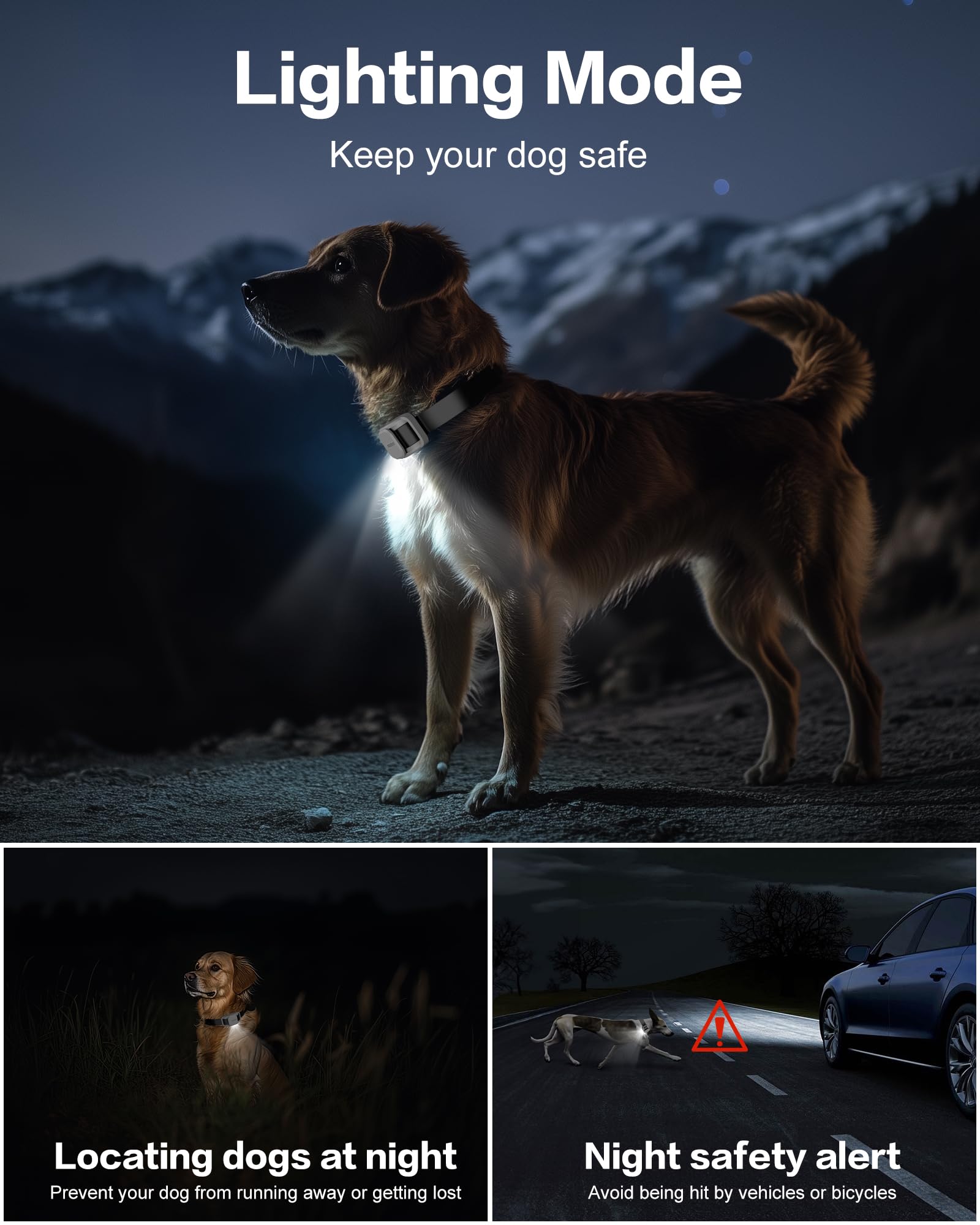 Sistema de dos canales de Jugbow para entrenar dos perros a la vez