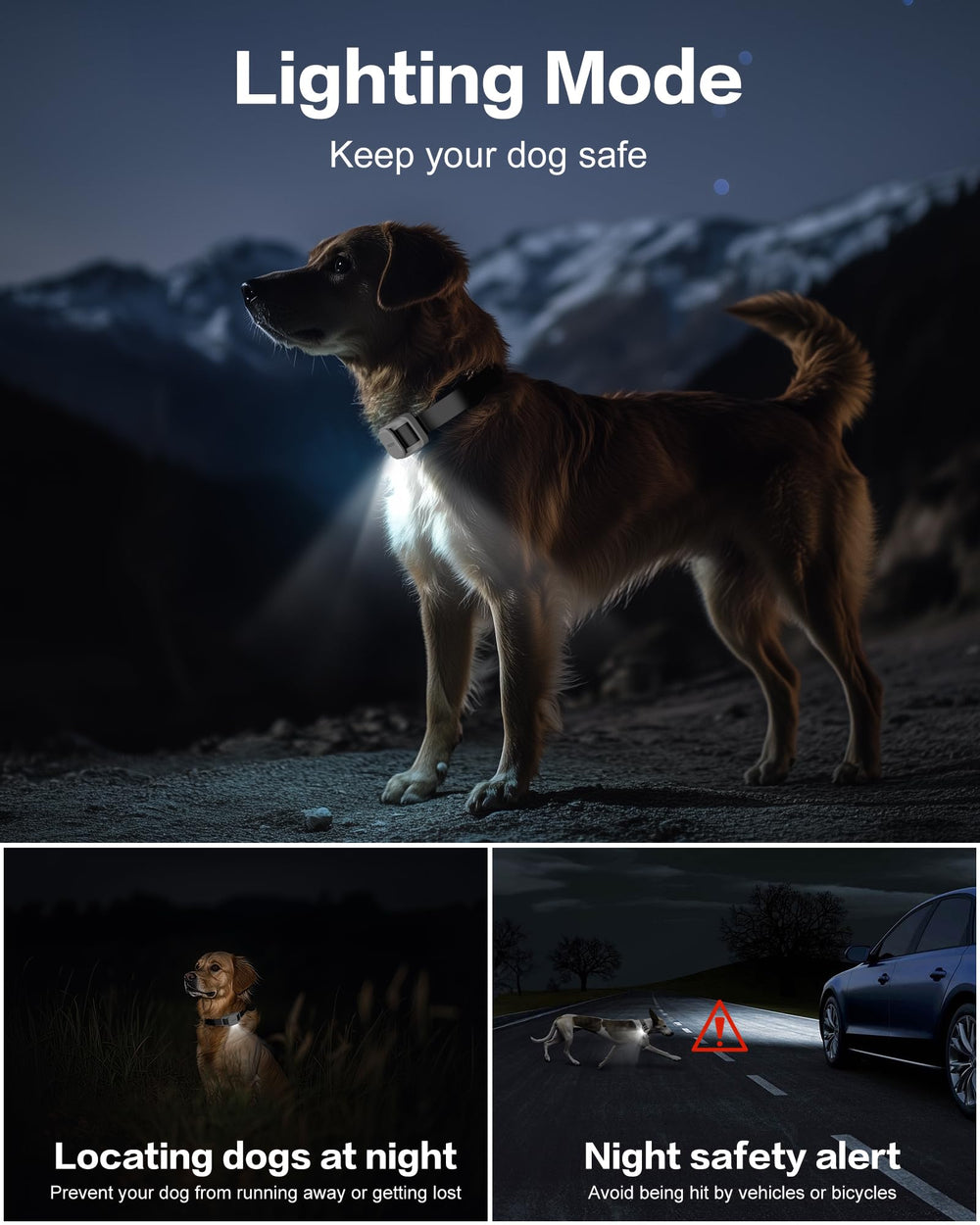 Sistema de dos canales de Jugbow para entrenar dos perros a la vez
