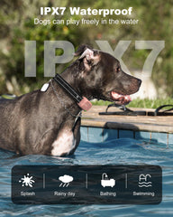 Collar resistente al agua IPX7 para cualquier clima.