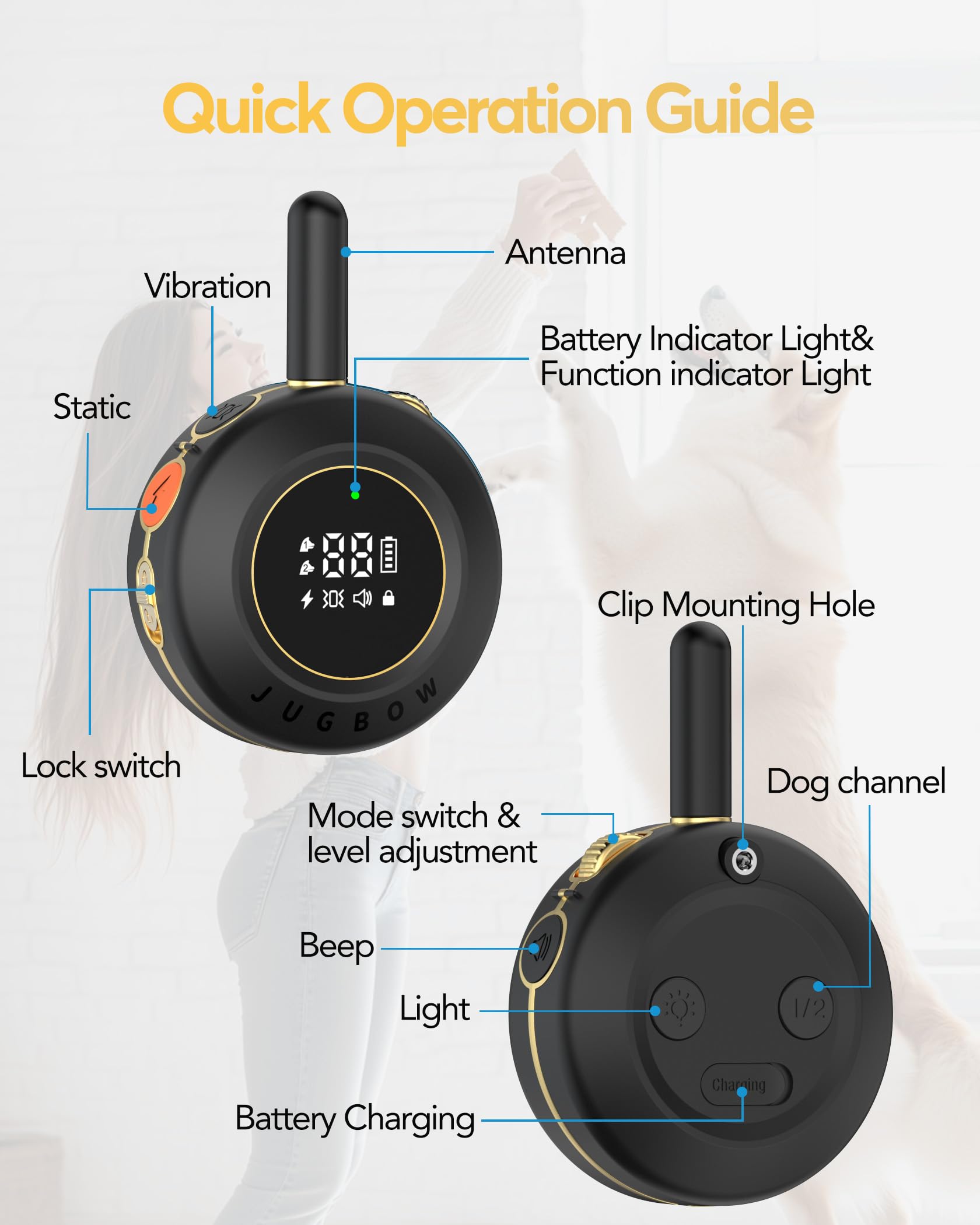 Luz LED integrada en Jugbow para localizar al perro por la noche.