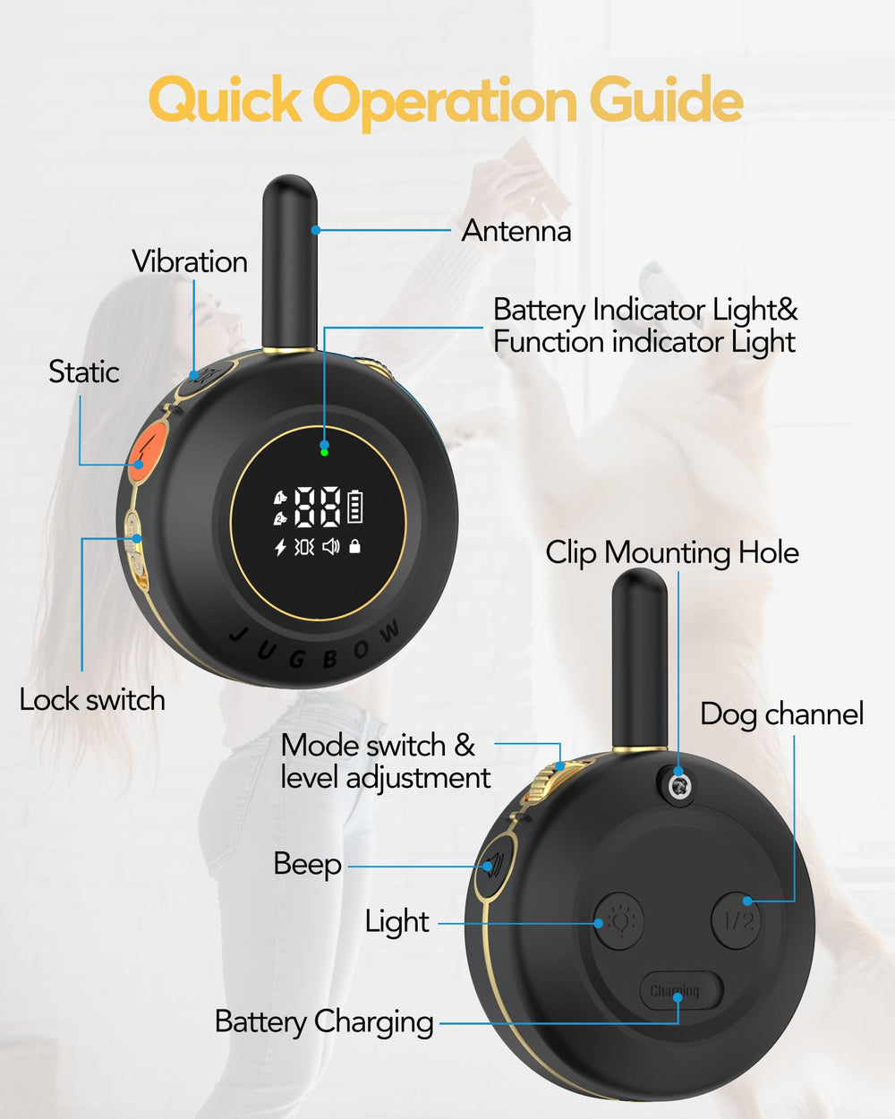Luz LED integrada en Jugbow para localizar al perro por la noche.