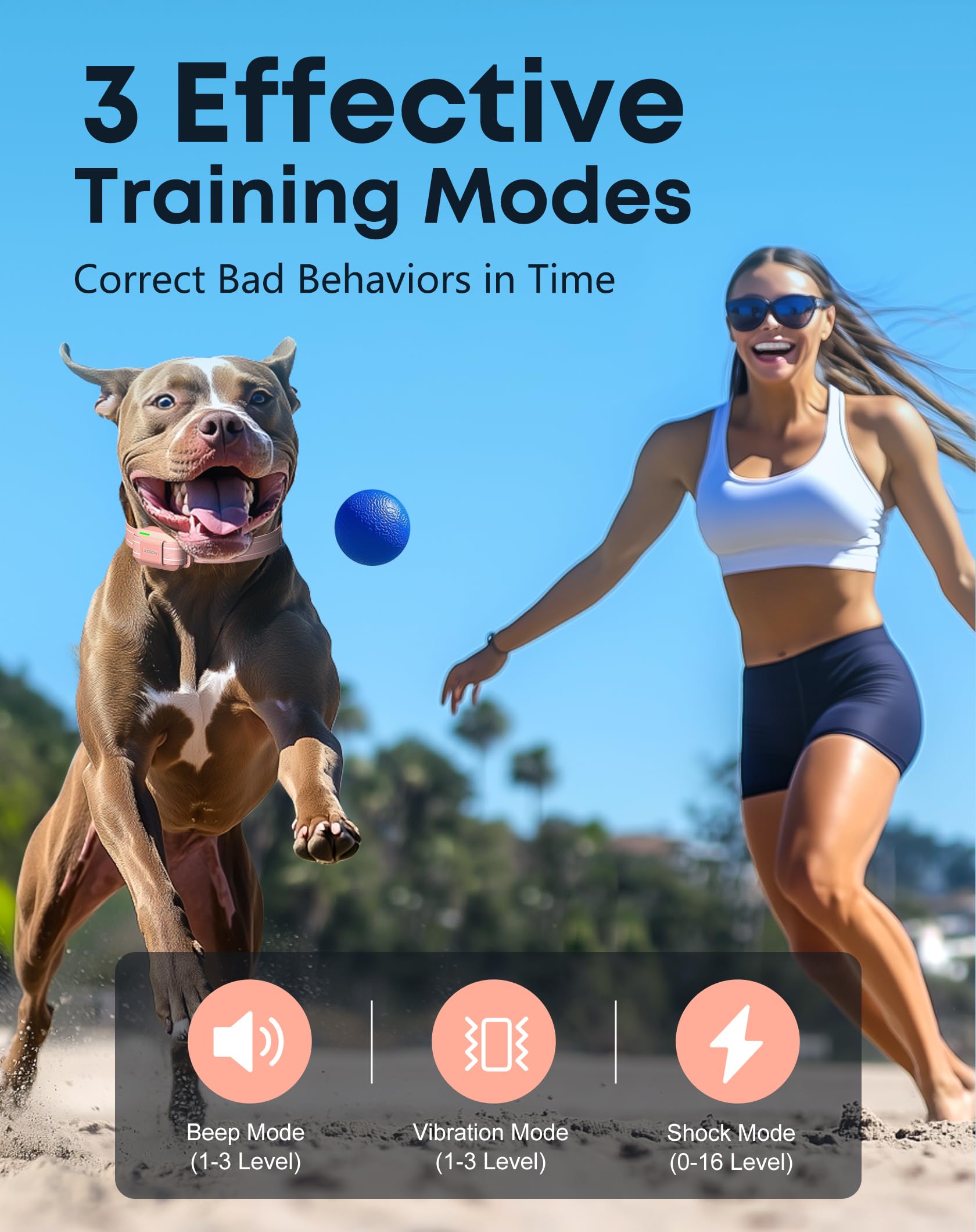 Control remoto de dos canales de Jugbow para entrenar dos perros