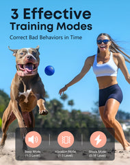 Control remoto de dos canales de Jugbow para entrenar dos perros
