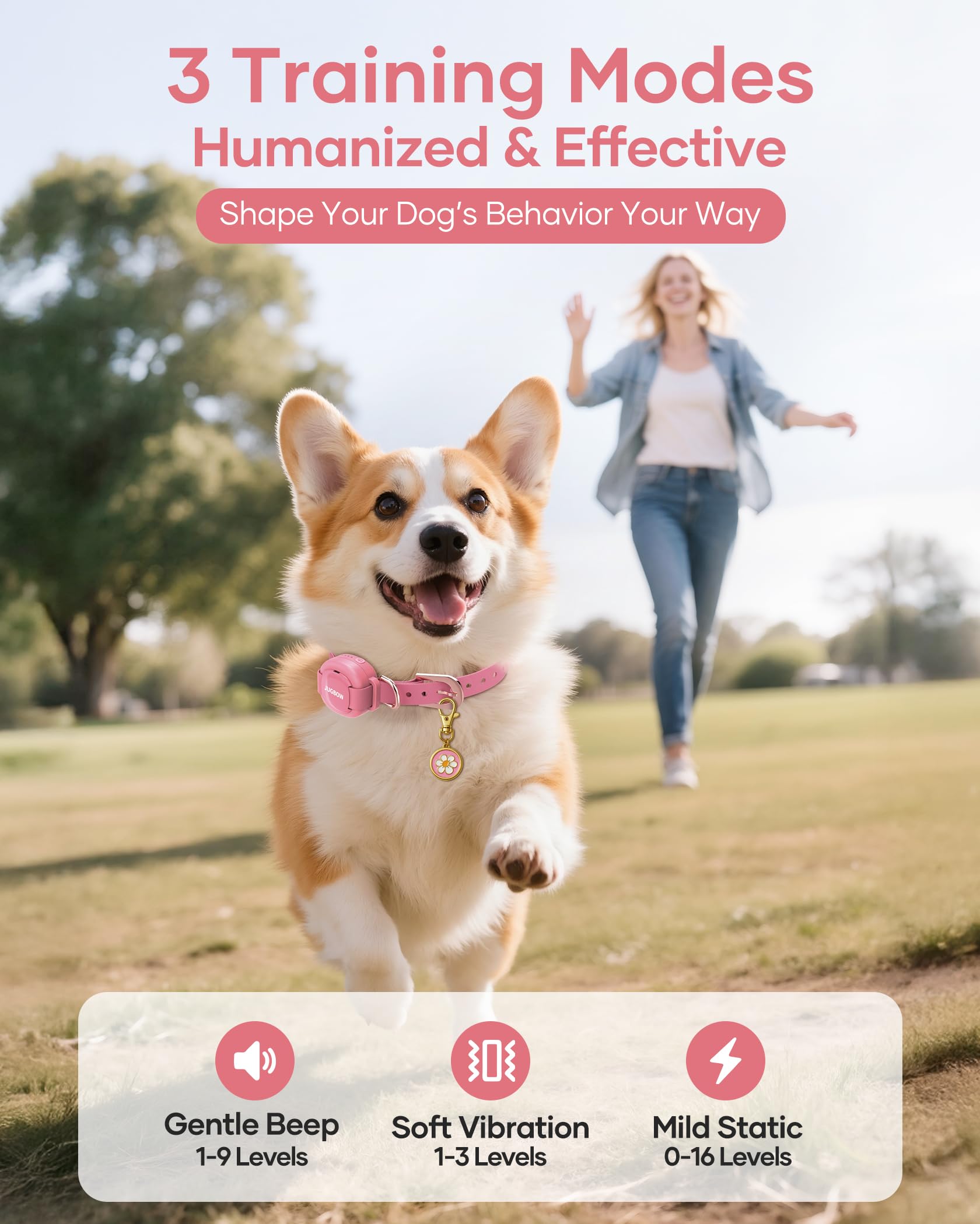 Tres modos de entrenamiento Jugbow, opciones suaves para reforzar obediencia