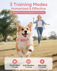 Tres modos de entrenamiento Jugbow, opciones suaves para reforzar obediencia
