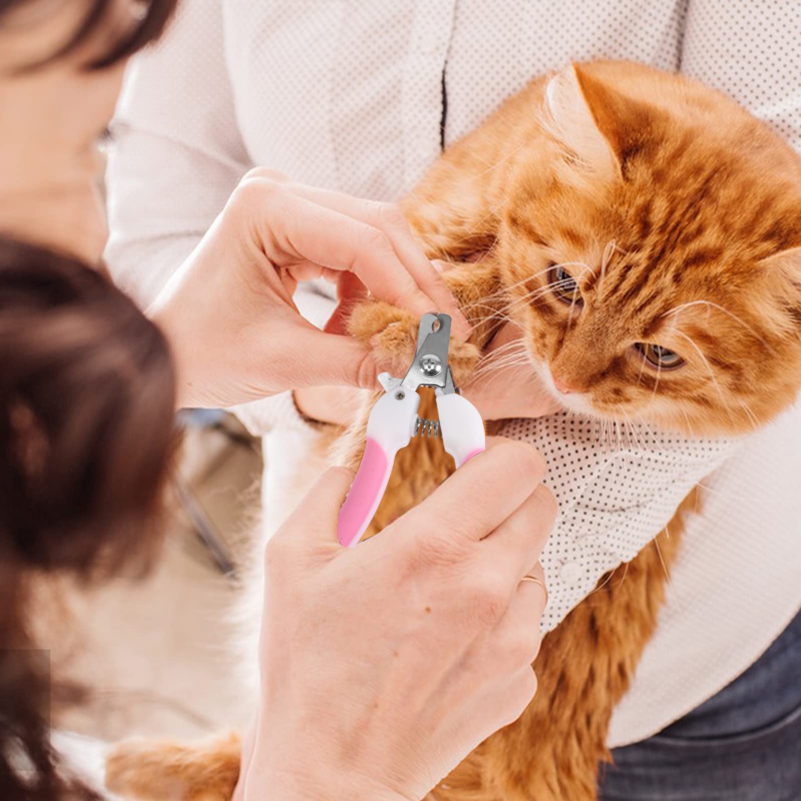 JULMELON cazainsectos para mascotas, ayuda a mantener al gato cómodo