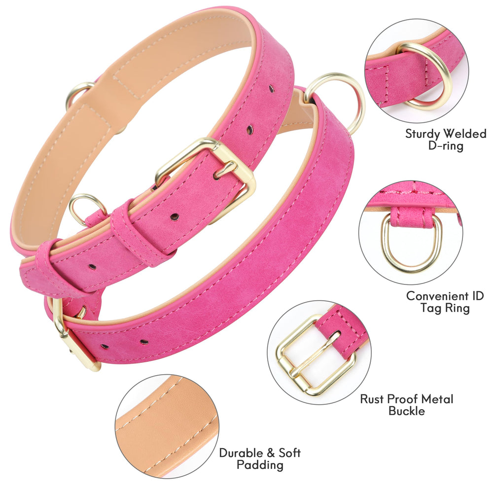 Jumpress collar con anilla en forma D y etiqueta, práctico y seguro.