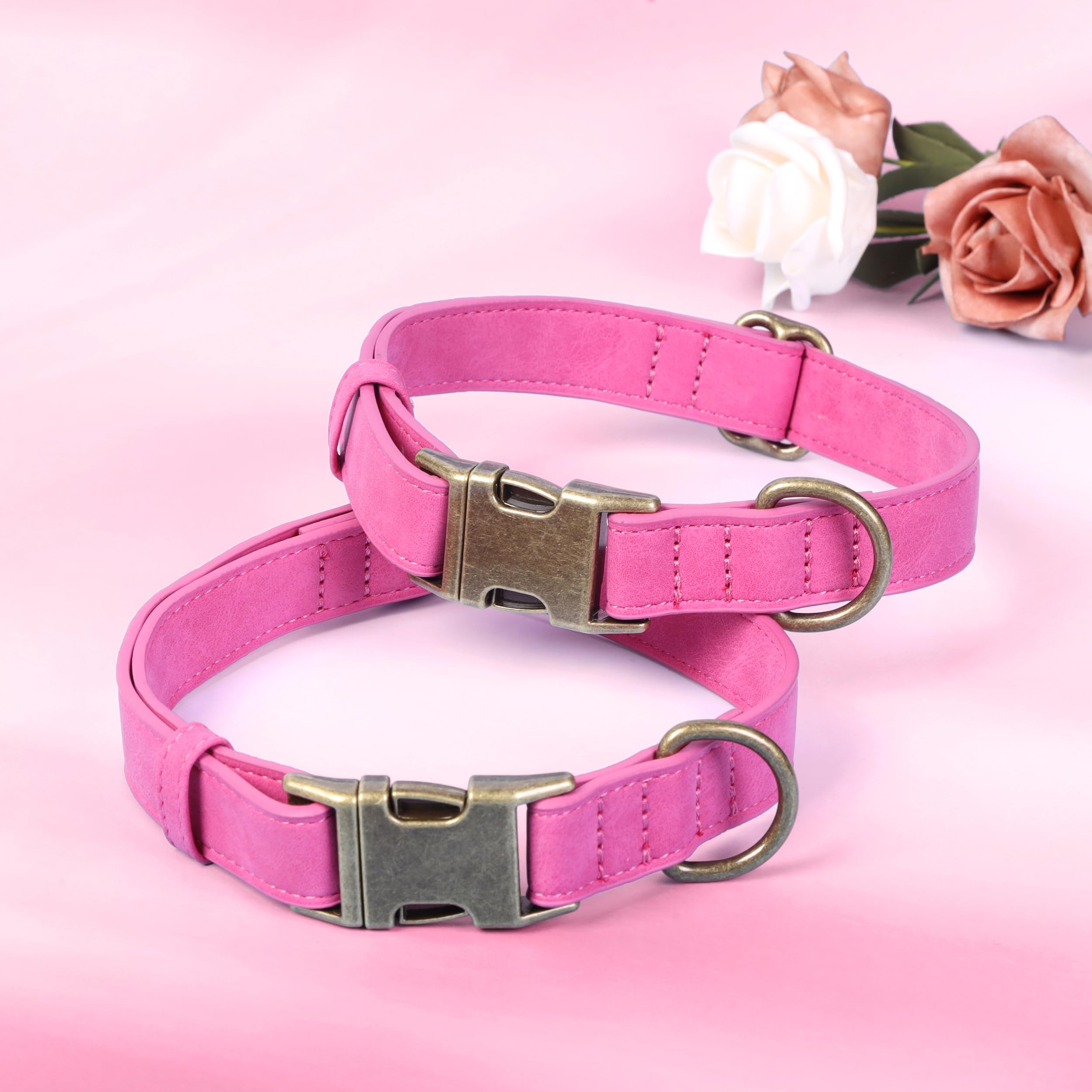 Guía de talla M Jumpress: cuello 32-50 cm para ajuste seguro.