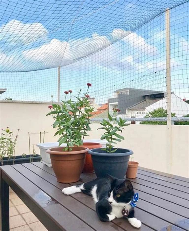 JUMXSRLE solución para puertas y escaleras con mascotas sin complicaciones.