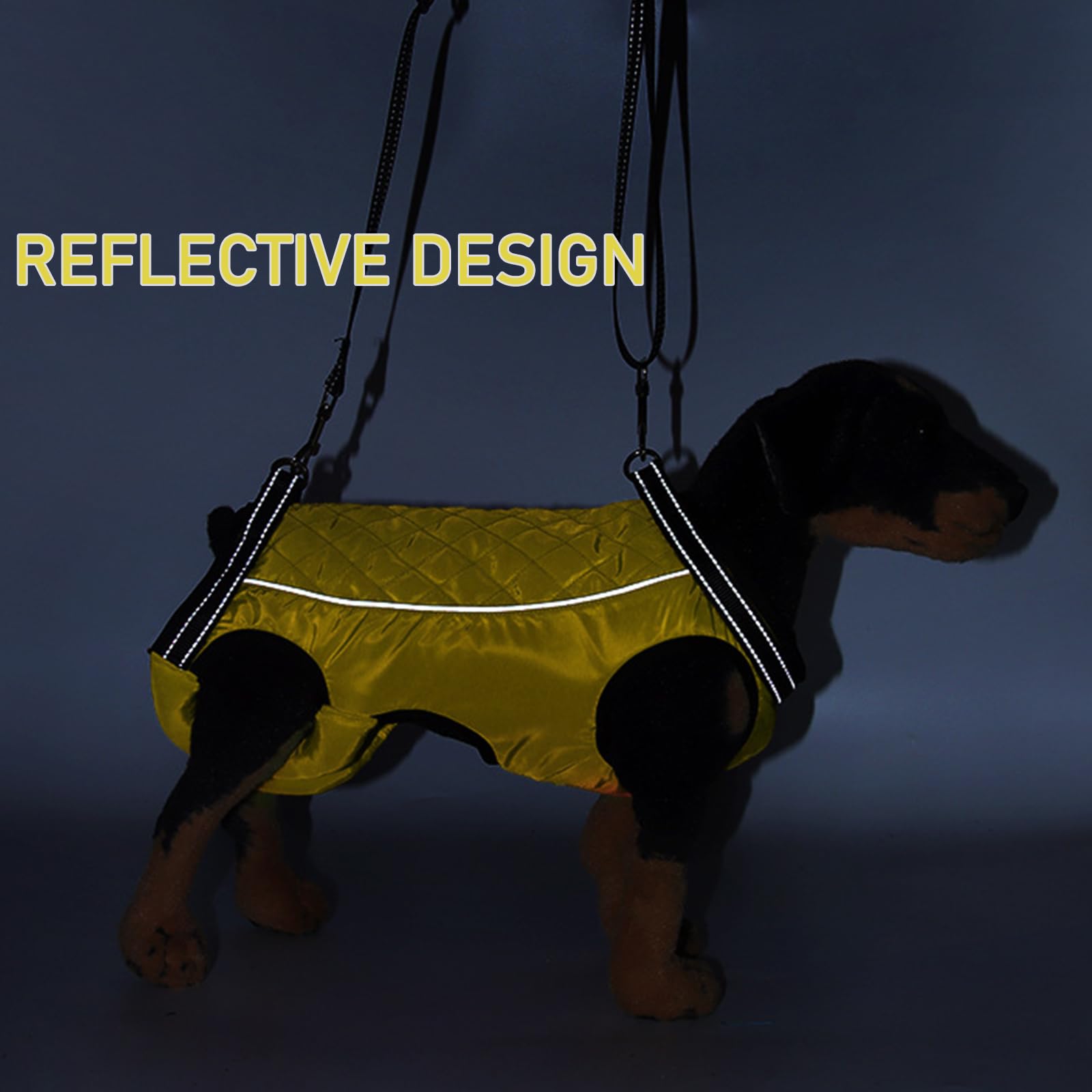 JUOMIIEL soporte para perro anciano, facilidad al caminar