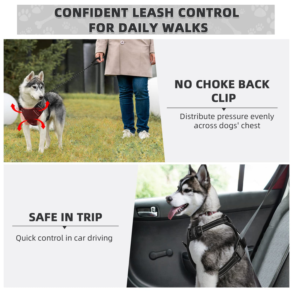Asa de control trasera de Juqiboom para guiar al perro.