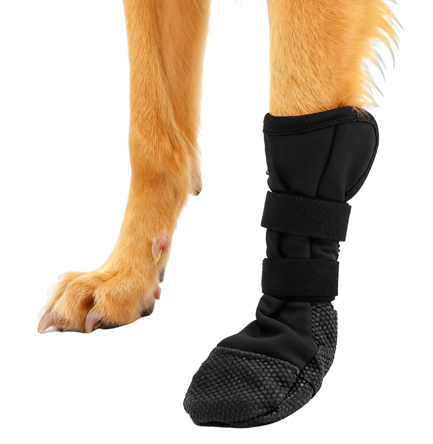 Botas JURUAA para pata herida protegen la zona dañada durante paseos.