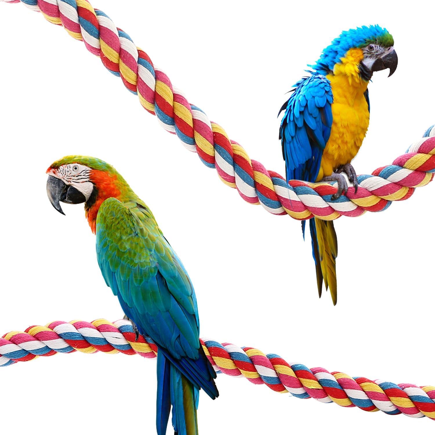 Diseño versátil de Jusney para crear varias pendientes y bucles.