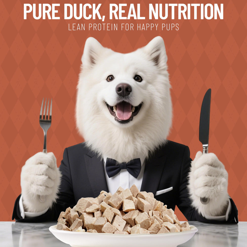 Just Try cubos de pato para entrenamiento, premio de alto valor para perros.