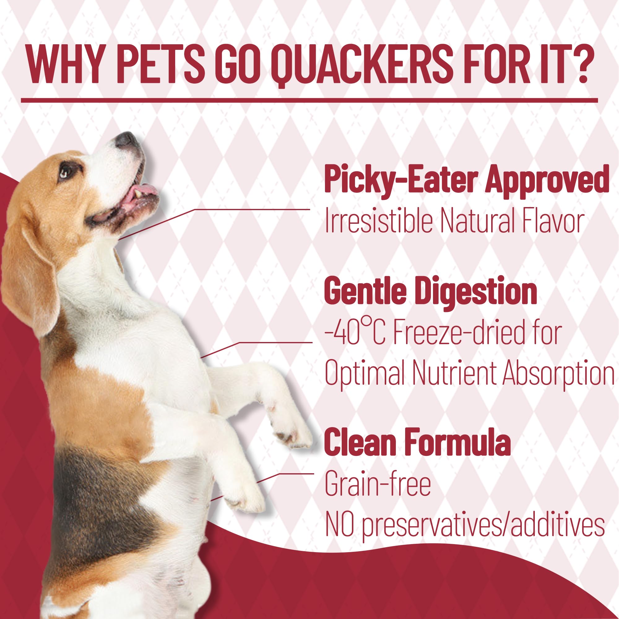 Just Try snack rico en hierro y vitamina A para mascotas