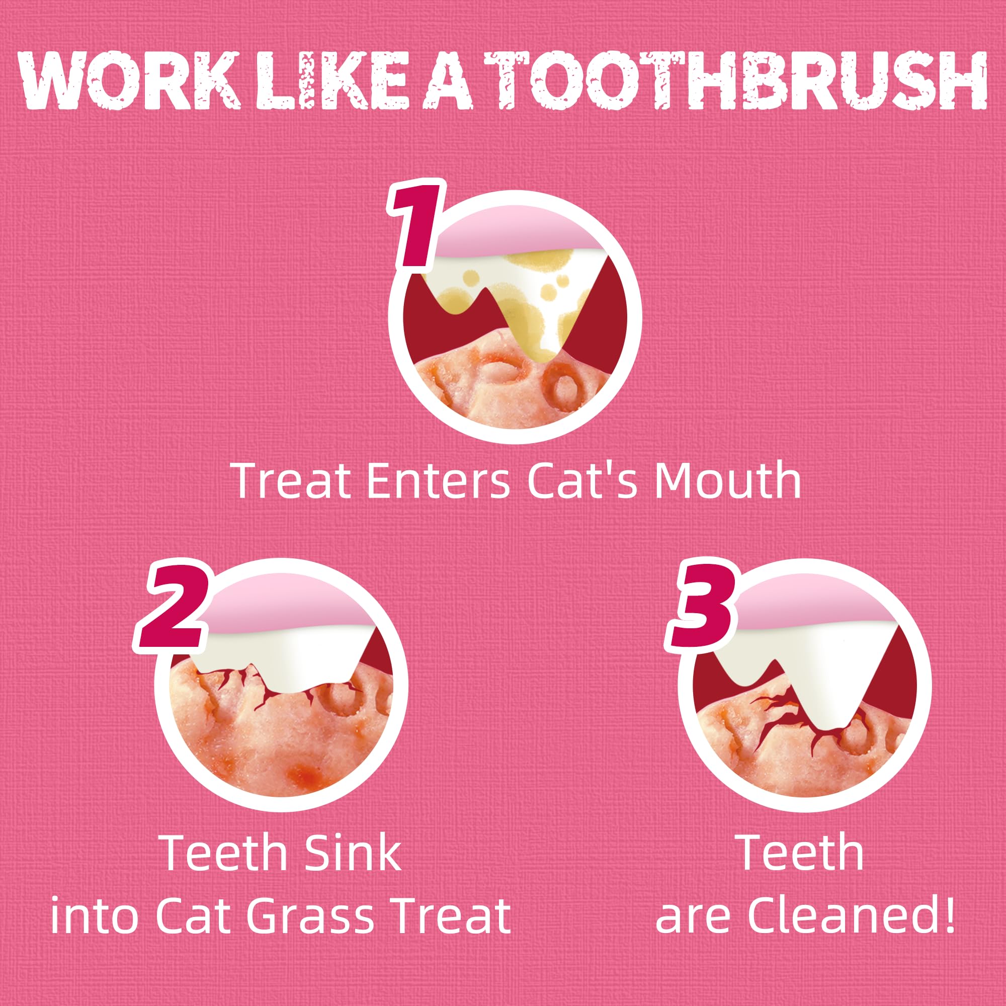 Limpieza dental suave con las golosinas Just Try para gatos.