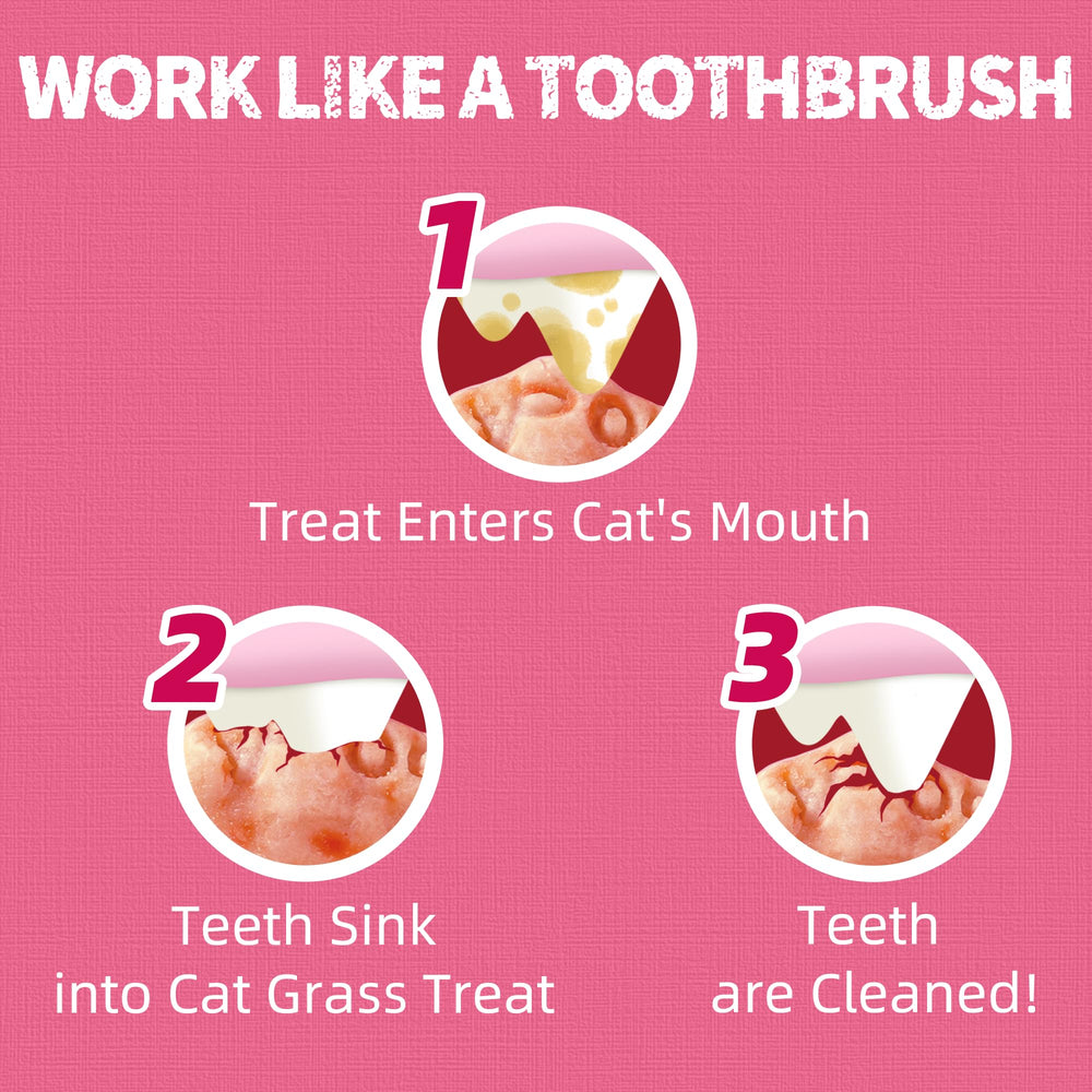 Limpieza dental suave con las golosinas Just Try para gatos.