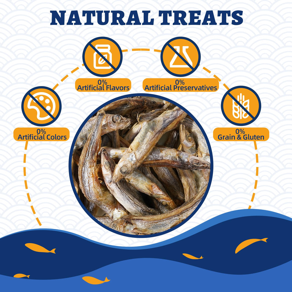 Just Try Minnows: liofilización que mantiene nutrientes y sabor.