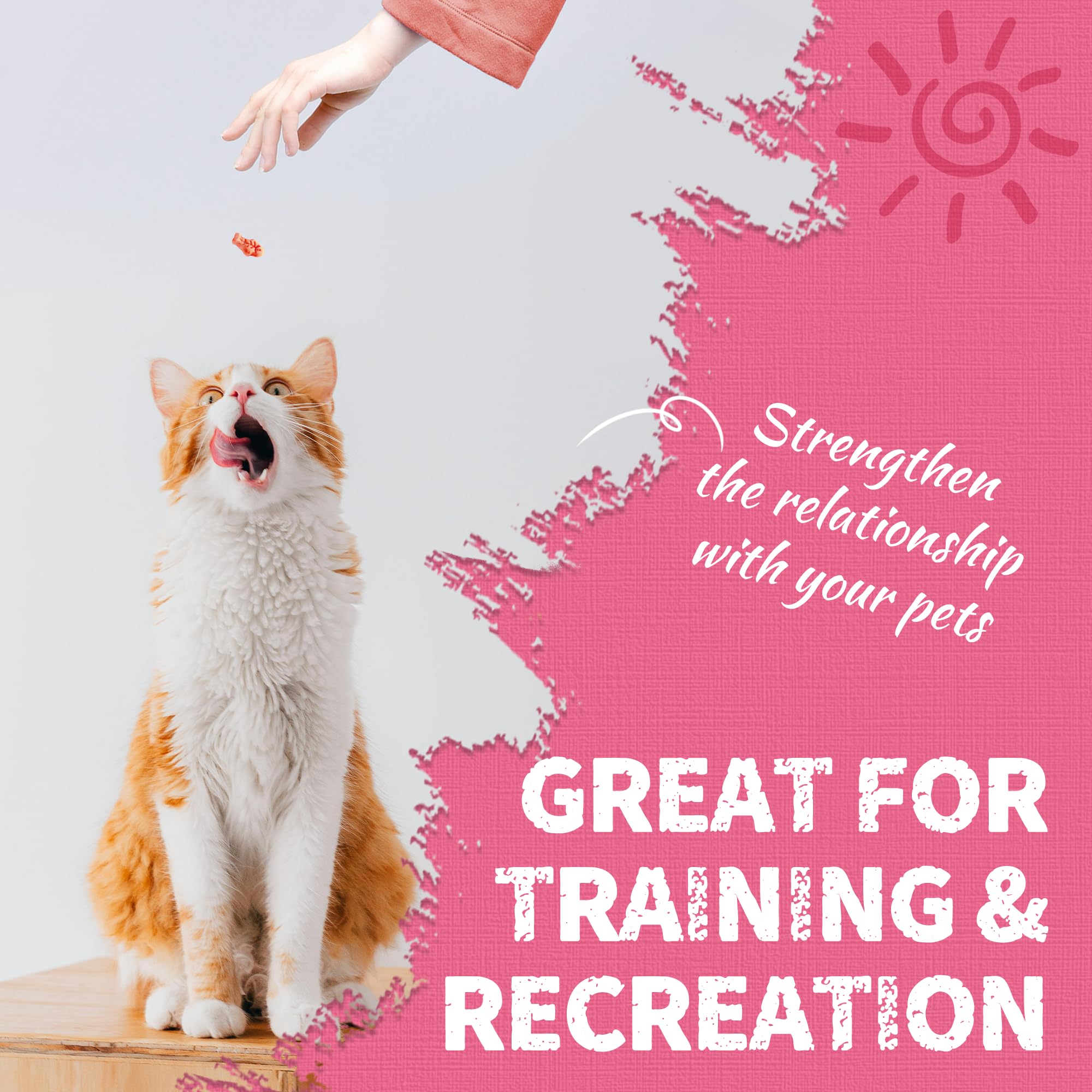 Premio de entrenamiento con sabor a salmón Just Try para gatos.
