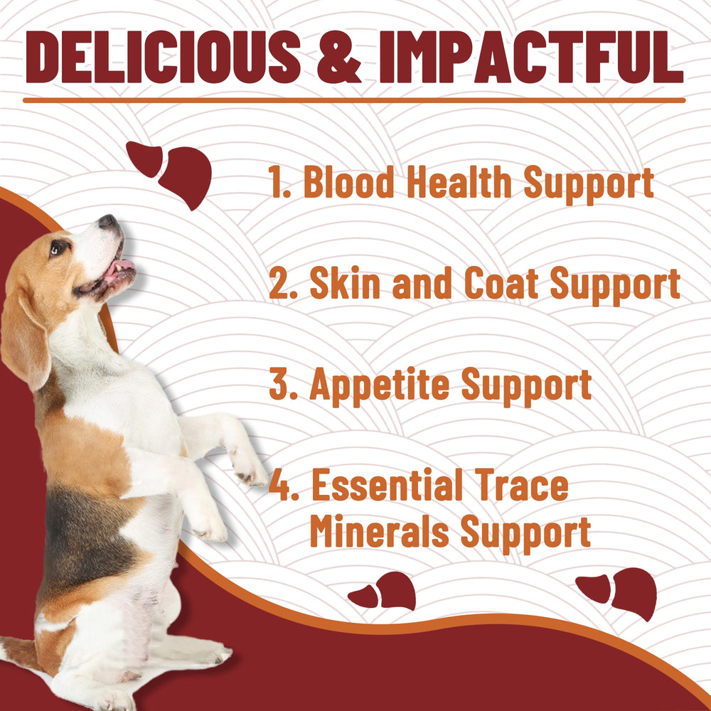 Just Try proteína de alta calidad para músculos y energía en perros
