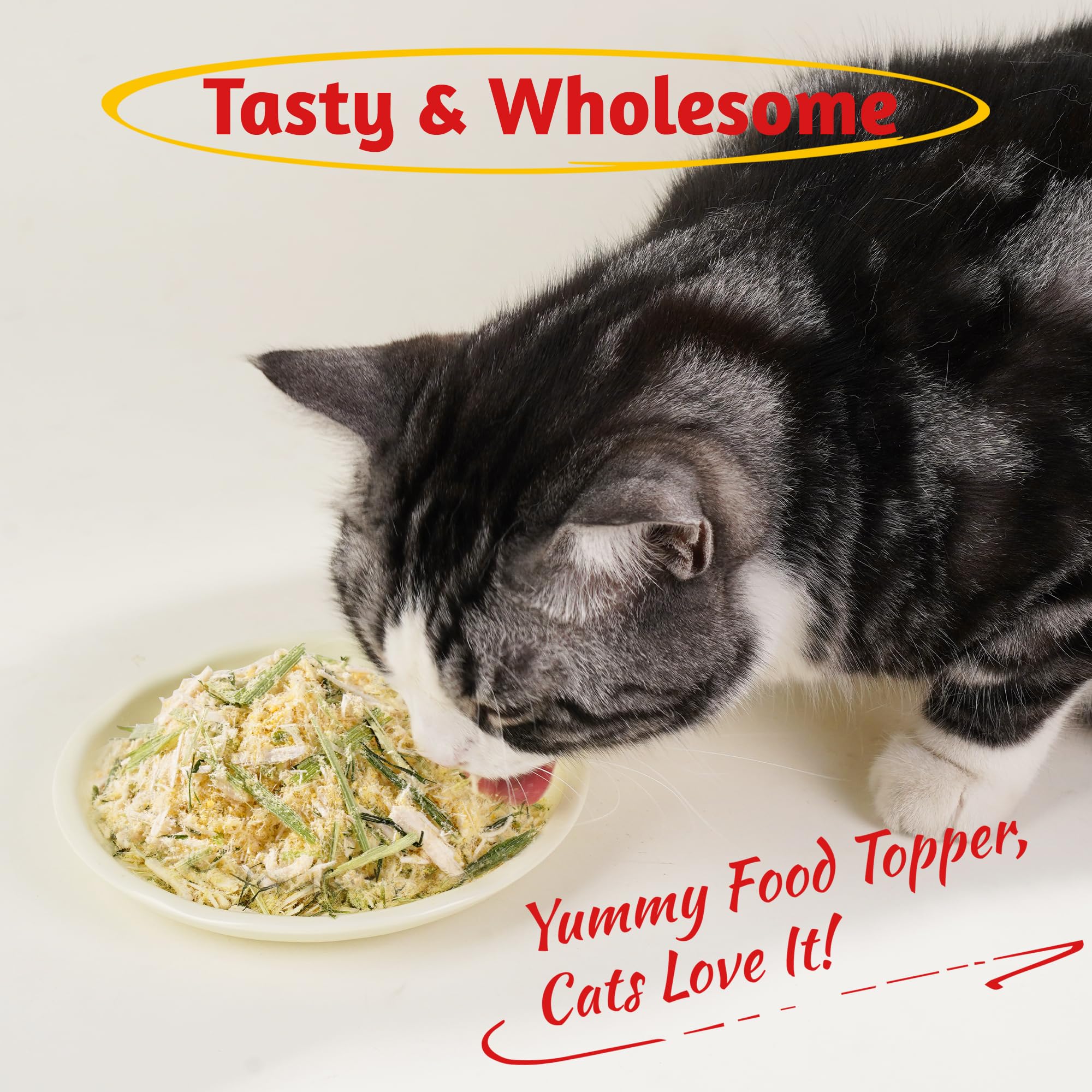Just Try snack premium para gatos interior, sin aditivos artificiales