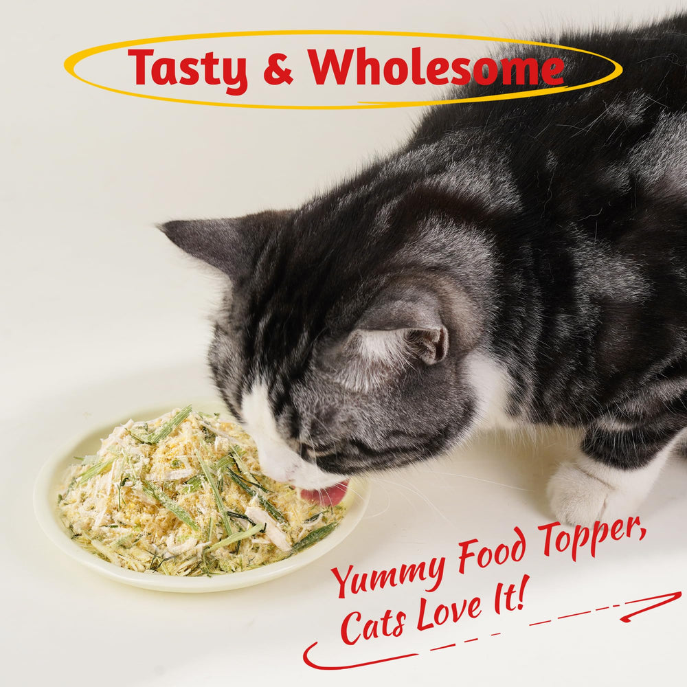 Just Try snack premium para gatos interior, sin aditivos artificiales